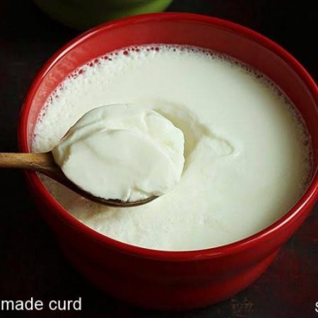 Plain Indian Yogurt